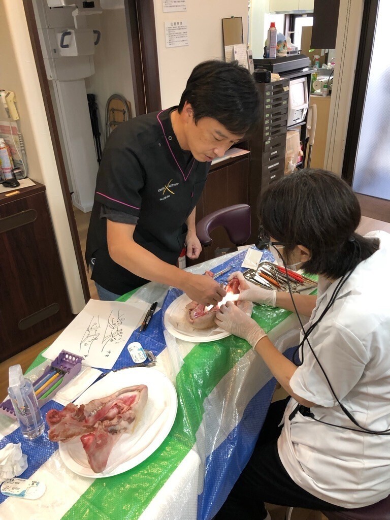 messageImage_1633687664788.jpg