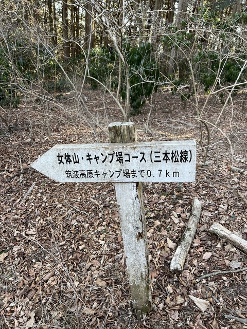 IMG_0932.jpeg