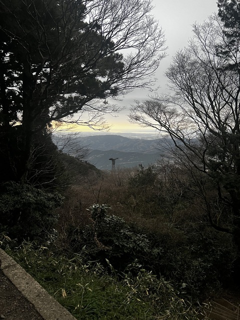 IMG_2269.jpeg