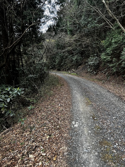 IMG_2292.jpeg