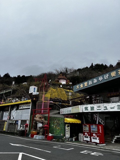IMG_2305.jpeg