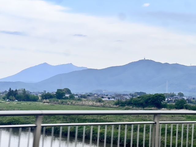 IMG_3137.jpeg