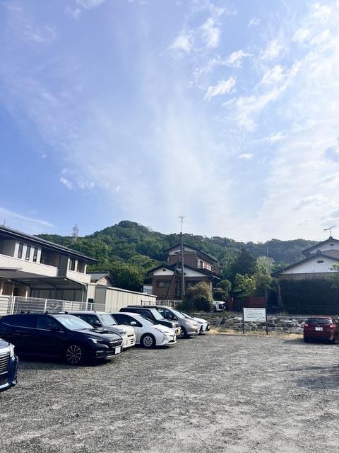 IMG_3138.jpeg