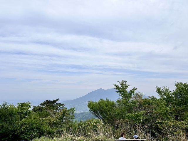 IMG_3162.jpeg
