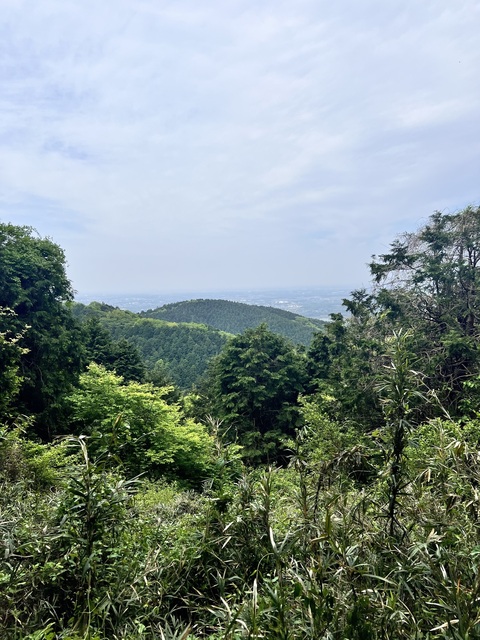 IMG_3172.jpeg