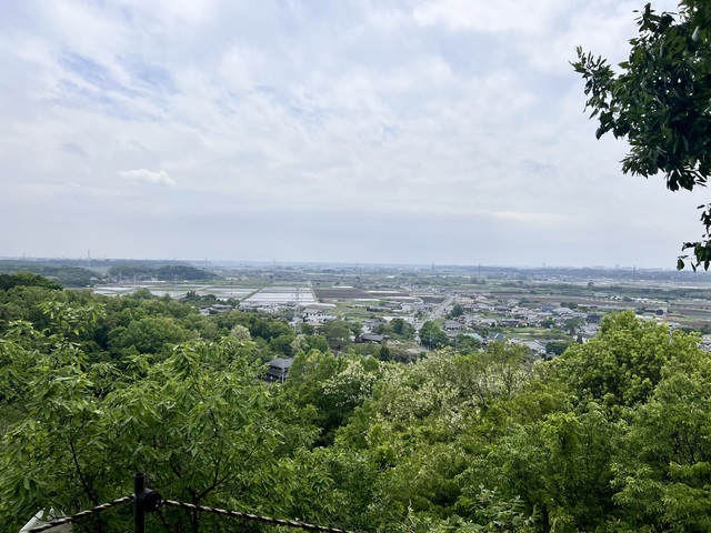 IMG_3196.jpeg