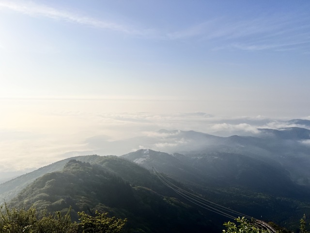 IMG_3464.jpeg