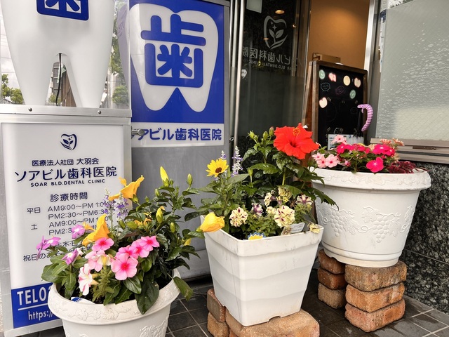IMG_3717.jpeg