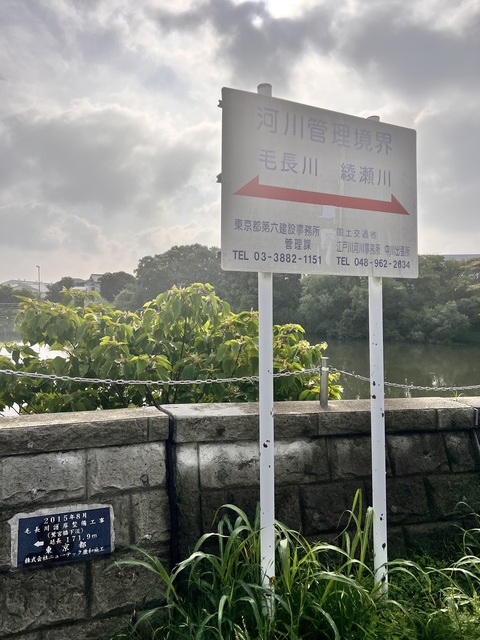 IMG_4019.jpeg