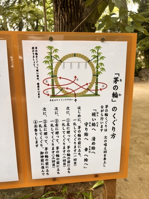 IMG_4647.jpeg