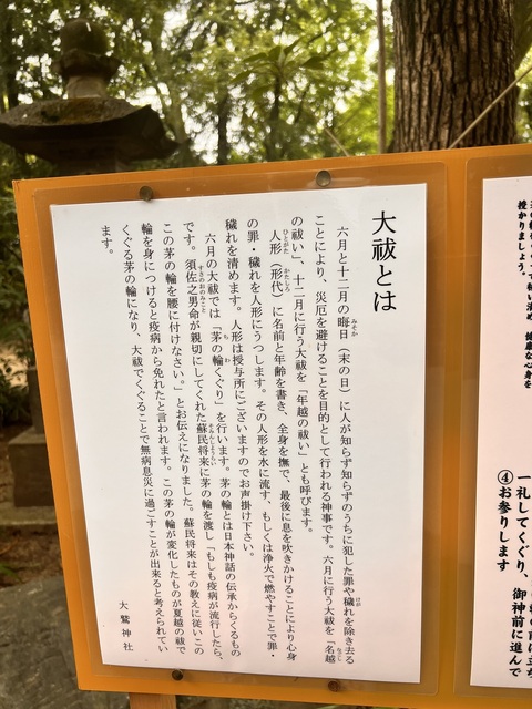 IMG_4648.jpeg