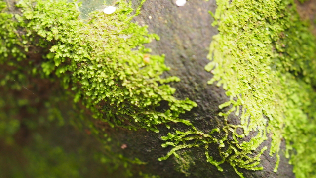 P5040341.JPG