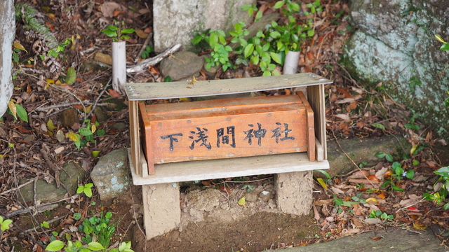 P5040345.JPG